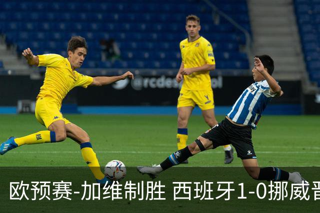 欧预赛-加维制胜 西班牙1-0挪威晋级欧洲杯正赛