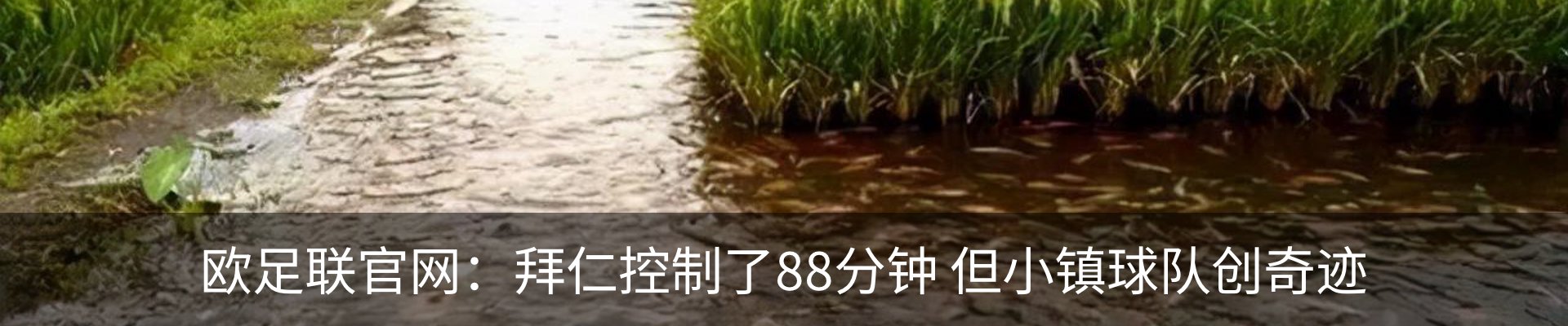资讯中心